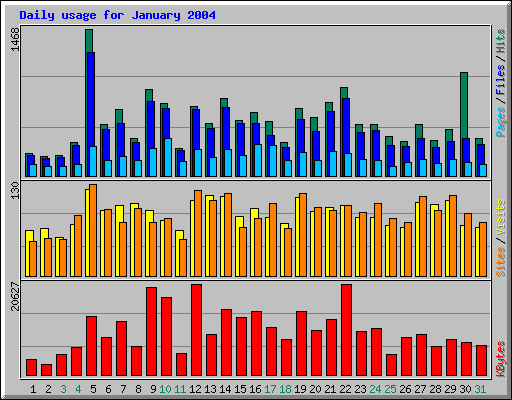 Daily usage for January 2004