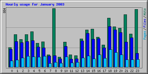 Hourly usage for January 2003