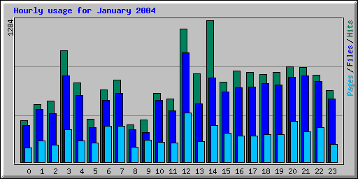 Hourly usage for January 2004