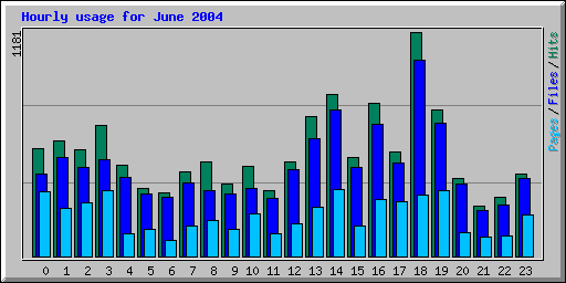 Hourly usage for June 2004